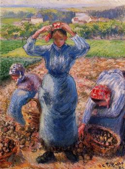 Camille Pissarro : Peasants Harvesting Potatoes